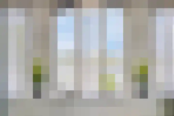 Schouw 17 Bergen op Zoom thumbnail 6