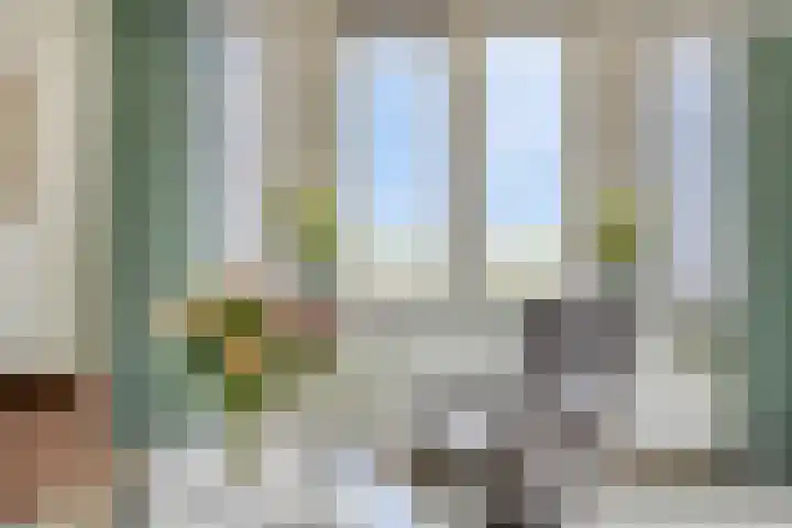 Schouw 17 Bergen op Zoom thumbnail 7