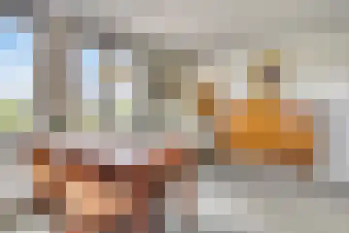 Schouw 17 Bergen op Zoom thumbnail 8