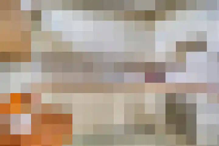 Schouw 17 Bergen op Zoom thumbnail 9