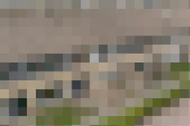 Schouw 18 Lemmer thumbnail 33