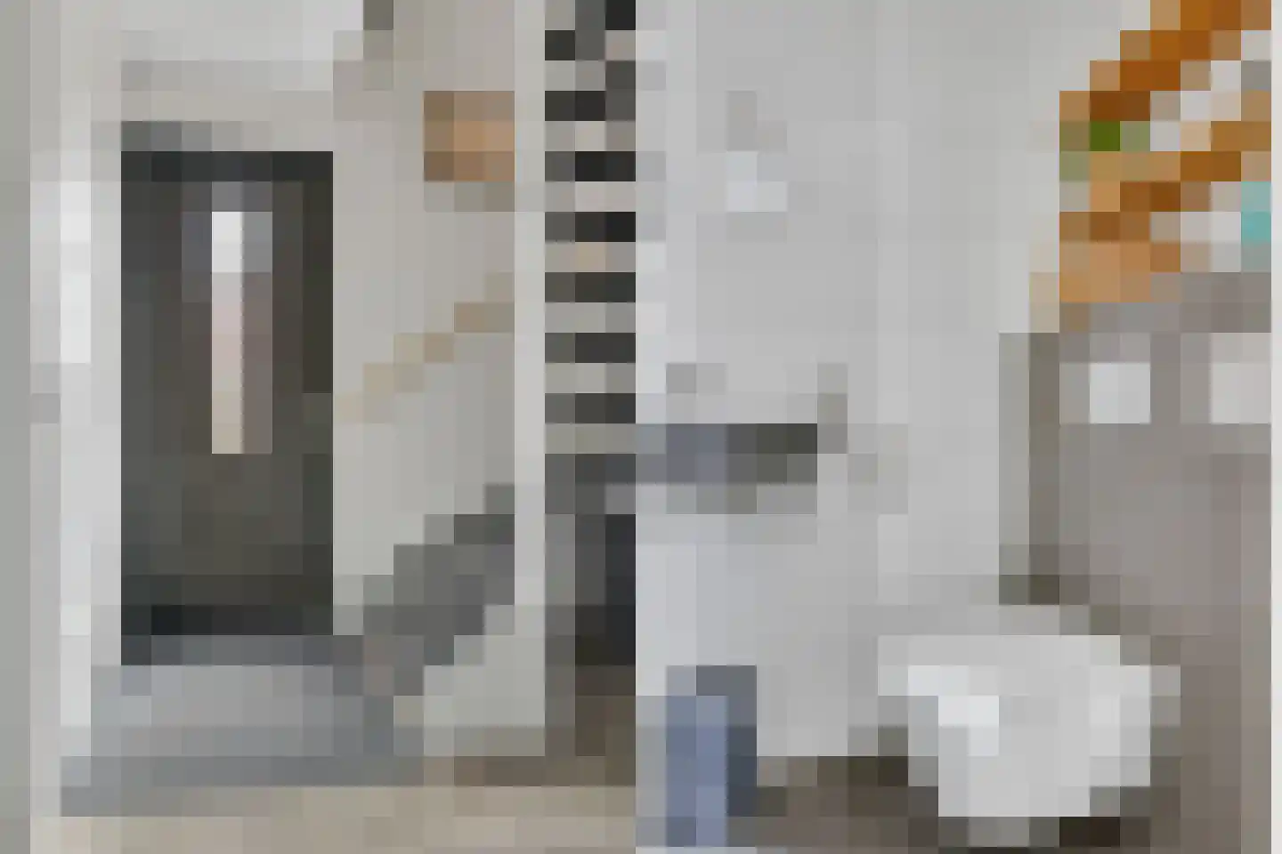 Schouw 19 Vollenhove thumbnail 11