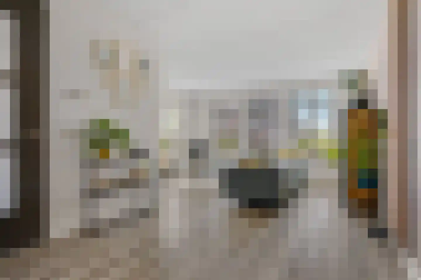 Schouw 19 Vollenhove thumbnail 12
