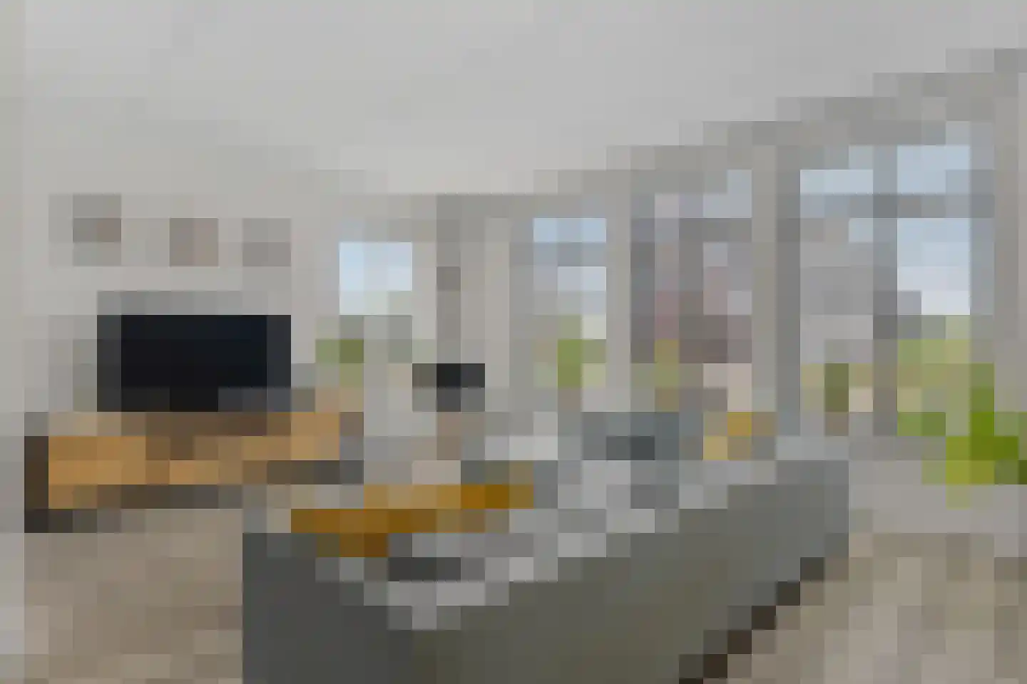 Schouw 19 Vollenhove thumbnail 13