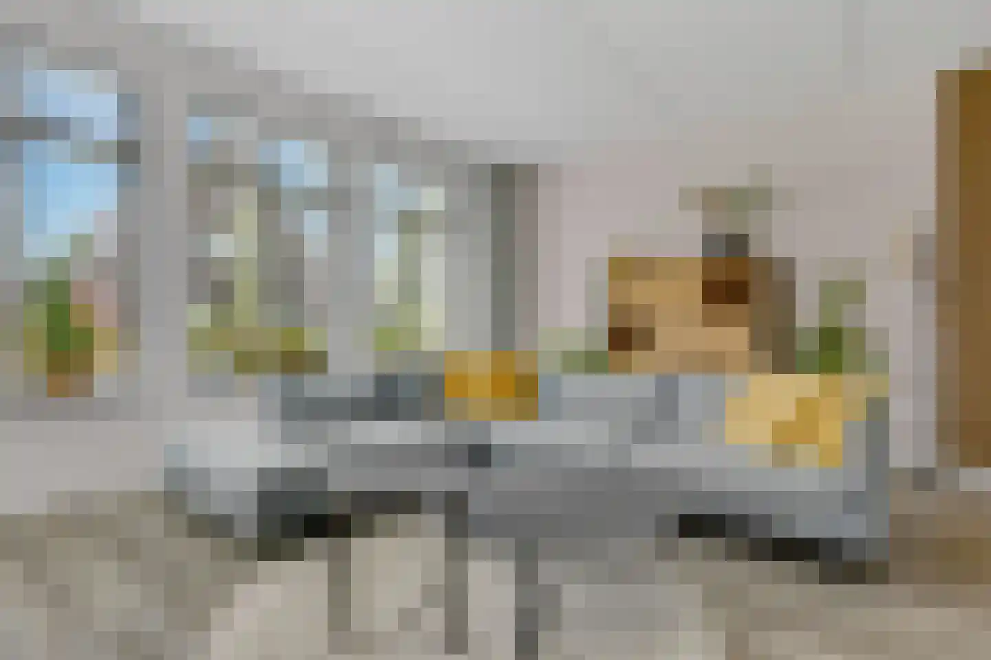 Schouw 19 Vollenhove thumbnail 14