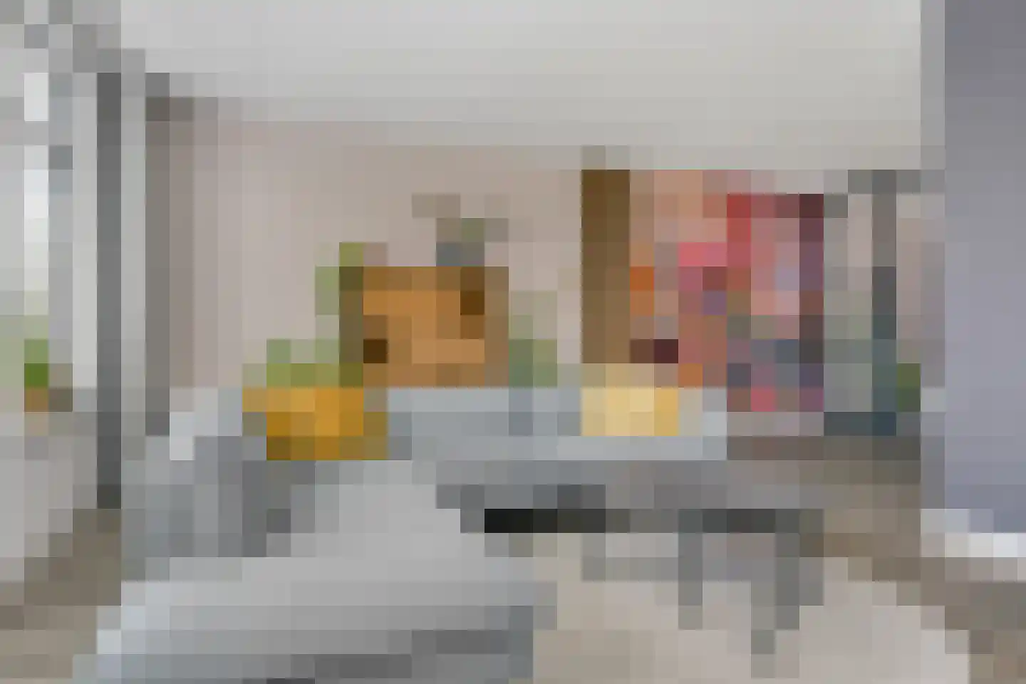 Schouw 19 Vollenhove thumbnail 15