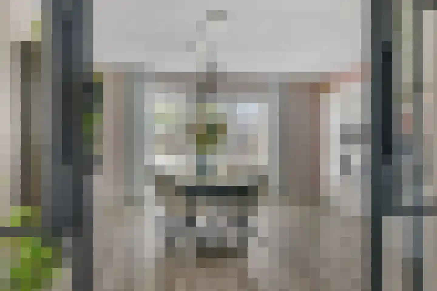 Schouw 19 Vollenhove thumbnail 18