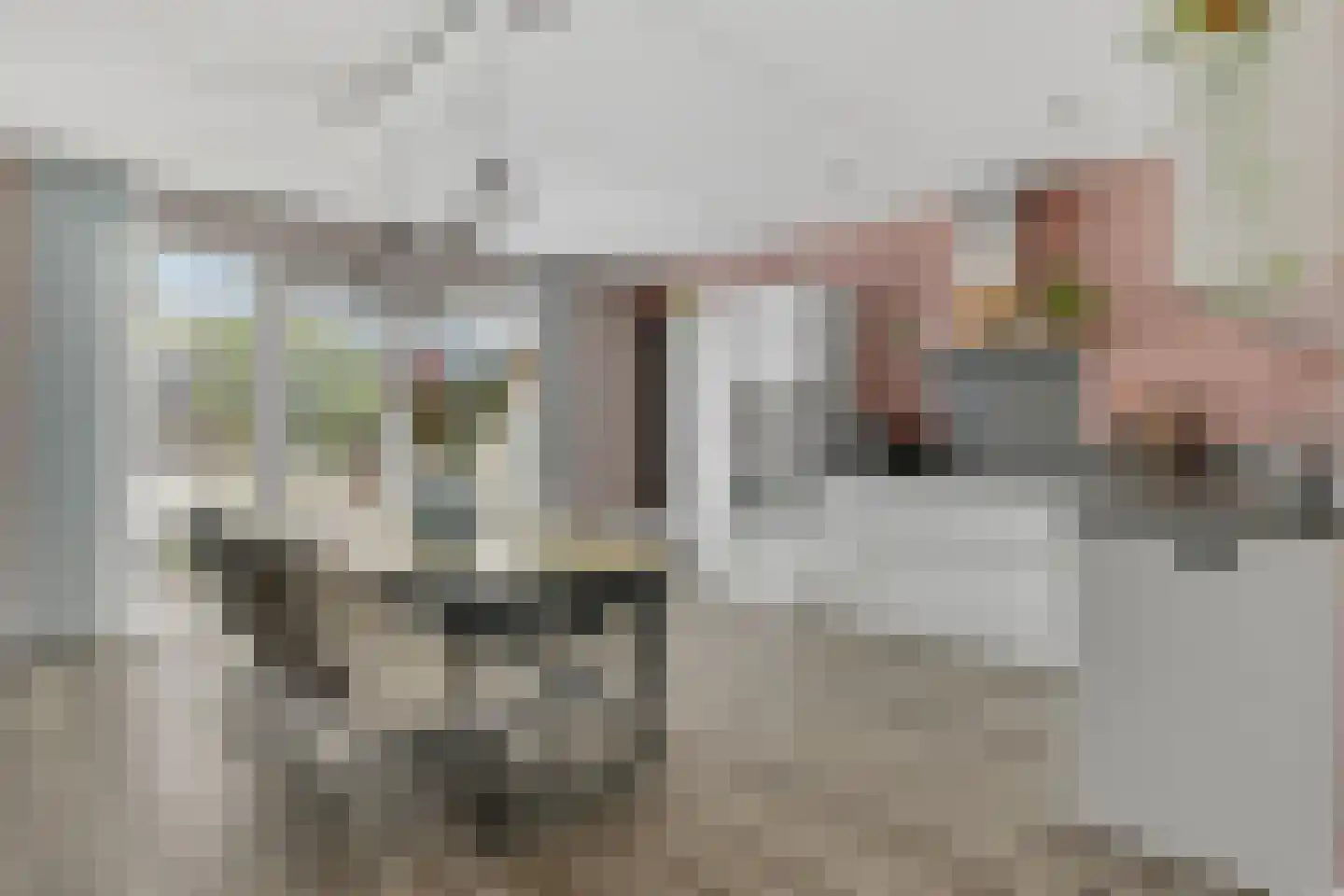 Schouw 19 Vollenhove thumbnail 20