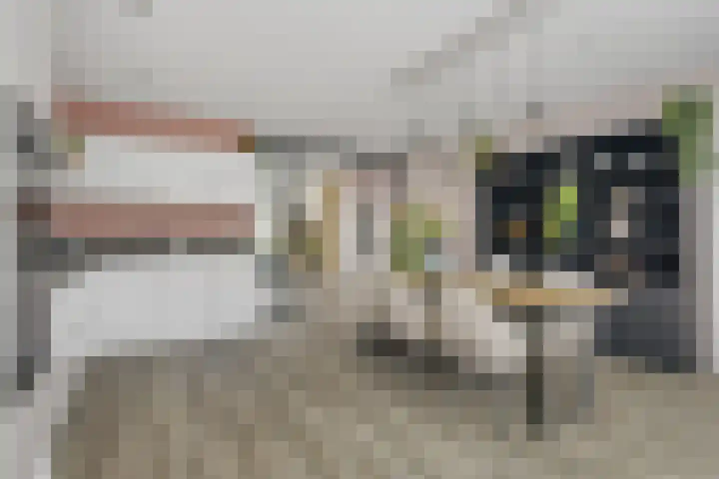 Schouw 19 Vollenhove thumbnail 22