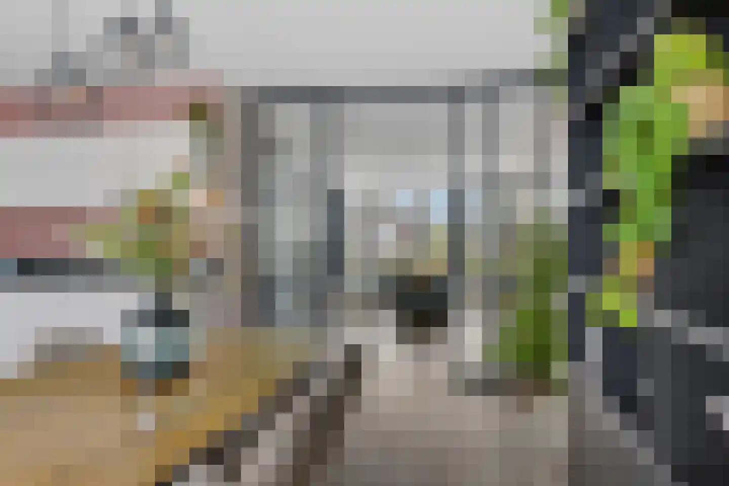 Schouw 19 Vollenhove thumbnail 24