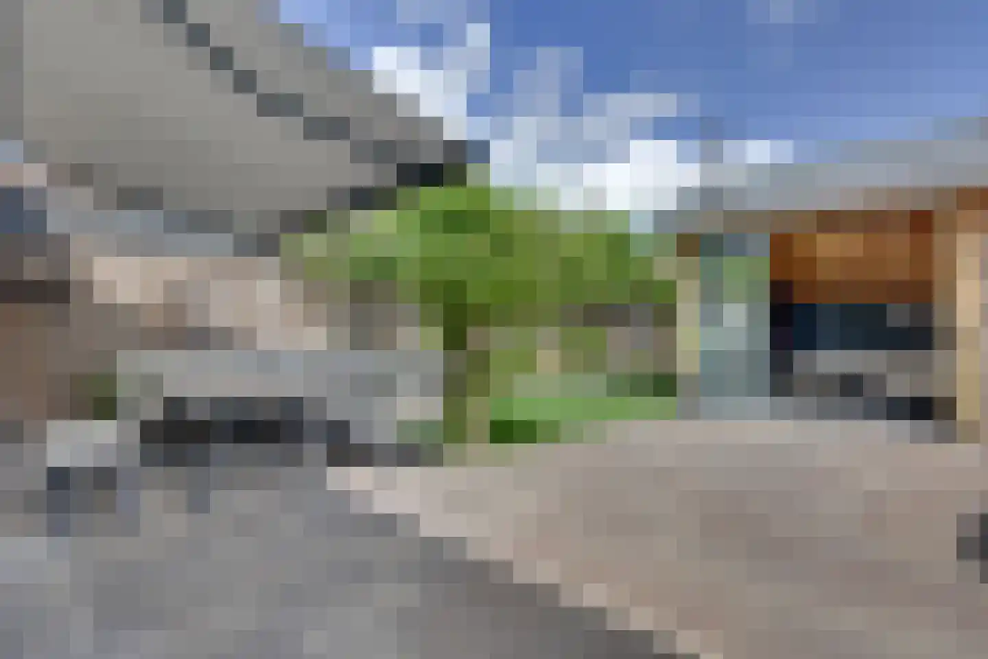 Schouw 19 Vollenhove thumbnail 27