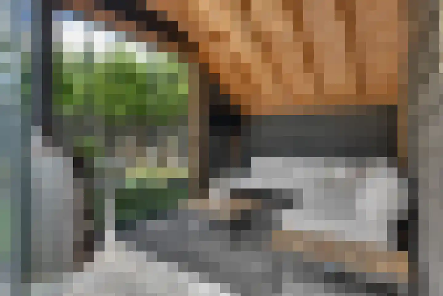 Schouw 19 Vollenhove thumbnail 31
