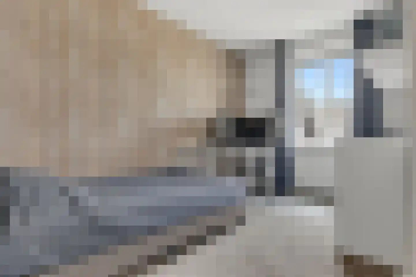 Schouw 19 Vollenhove thumbnail 33