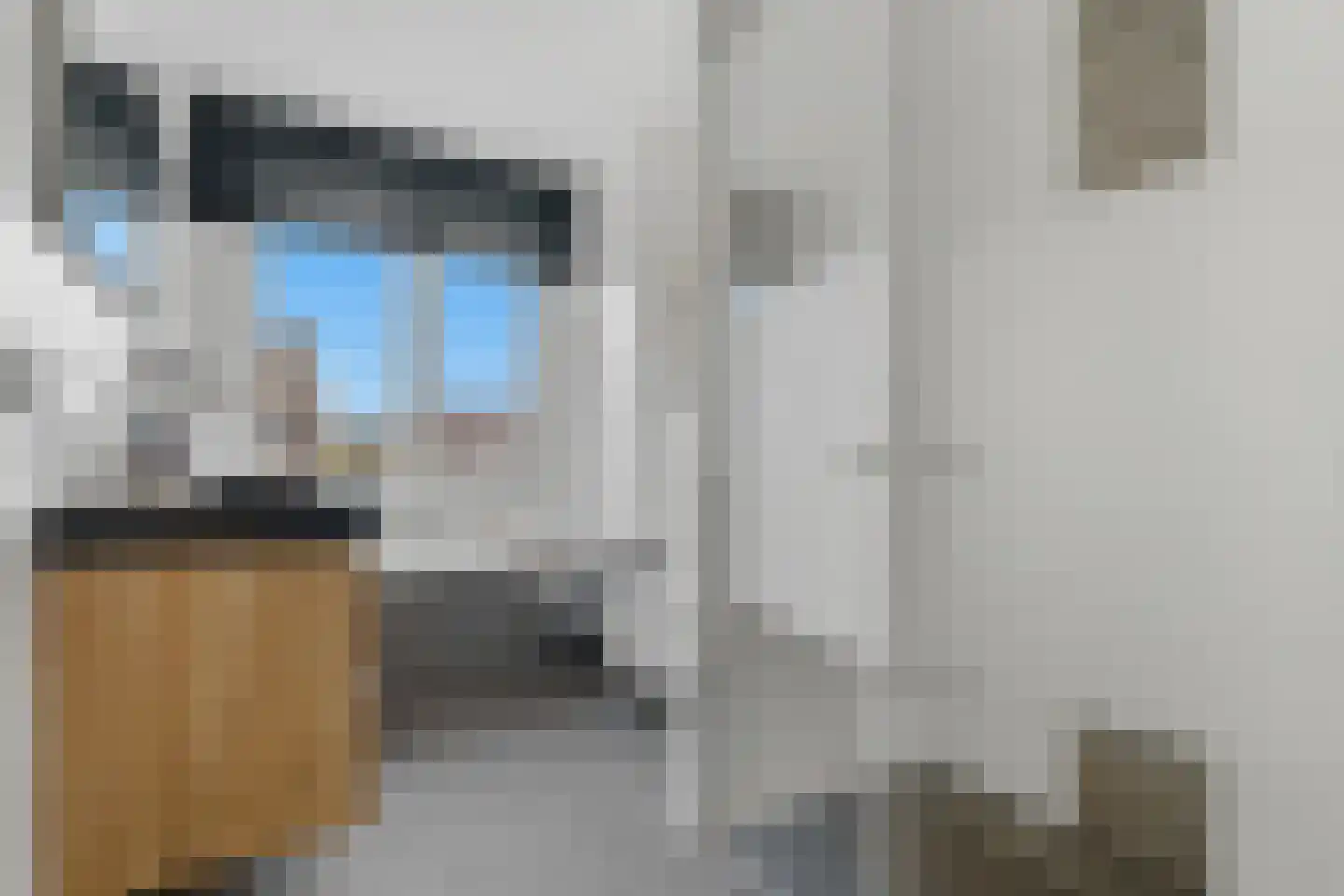 Schouw 19 Vollenhove thumbnail 34