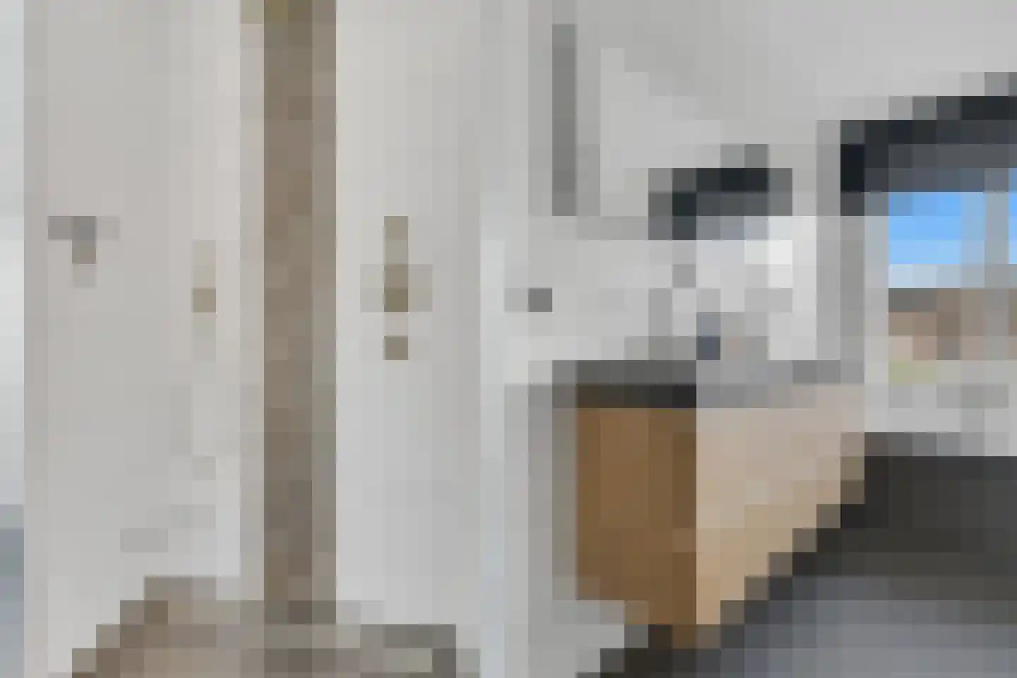 Schouw 19 Vollenhove thumbnail 35