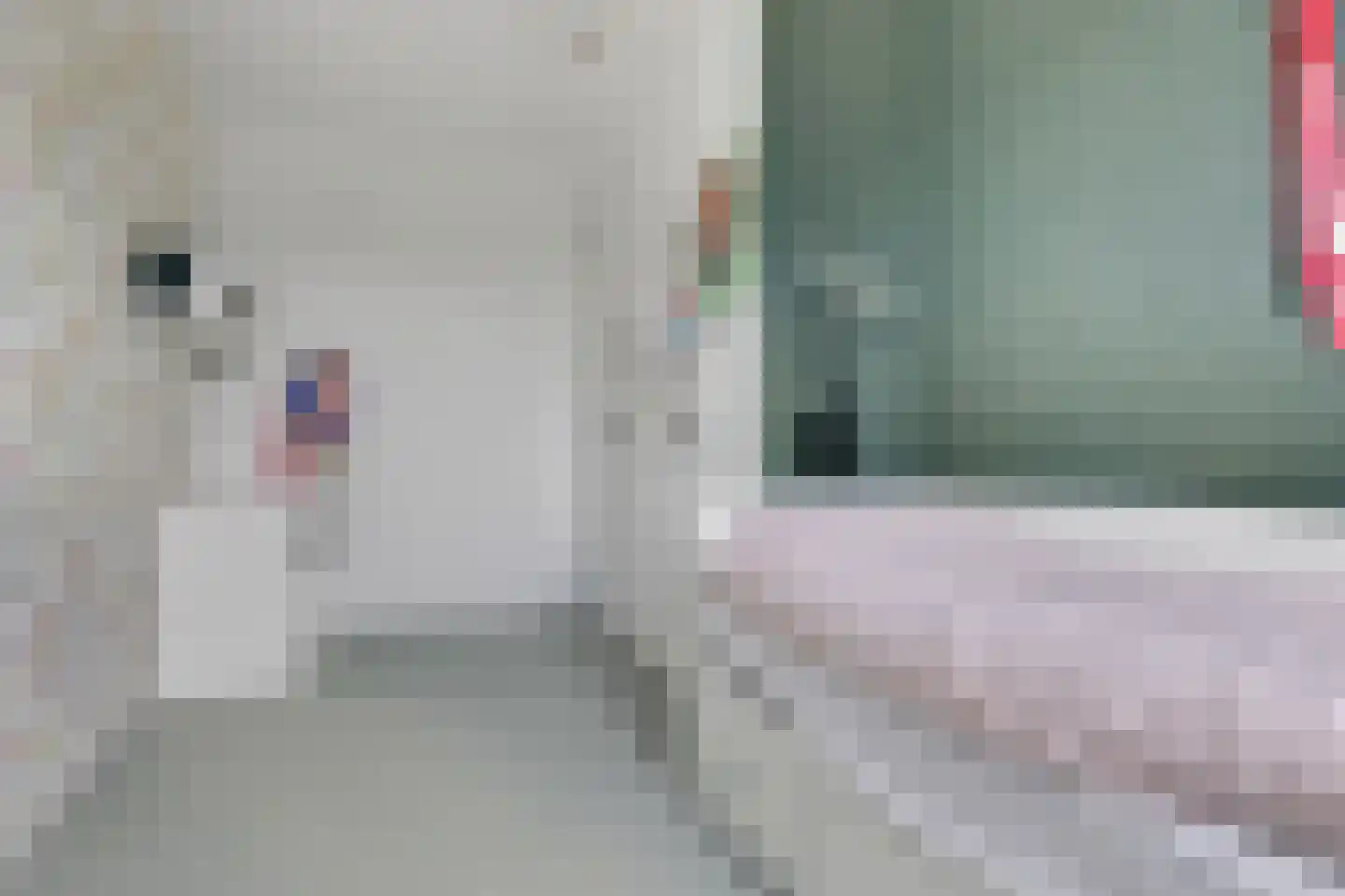 Schouw 19 Vollenhove thumbnail 37