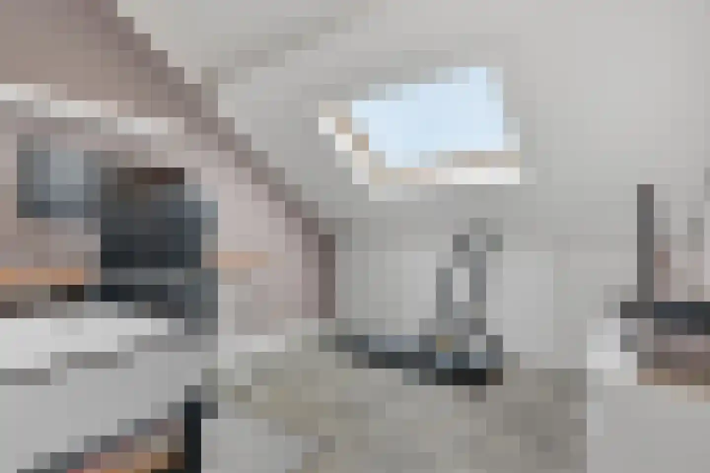 Schouw 19 Vollenhove thumbnail 38