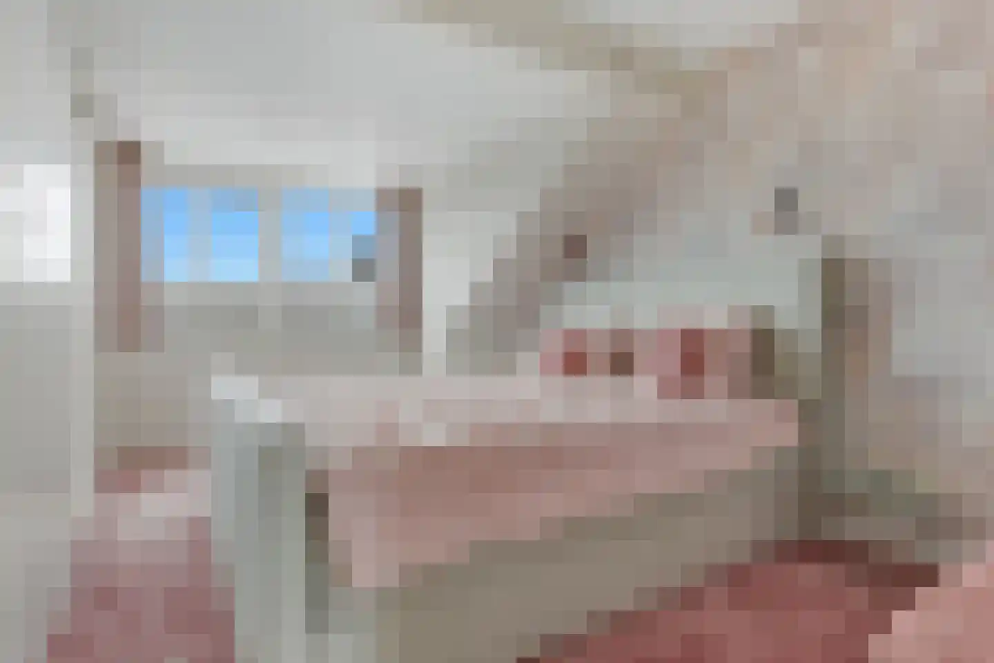 Schouw 19 Vollenhove thumbnail 39