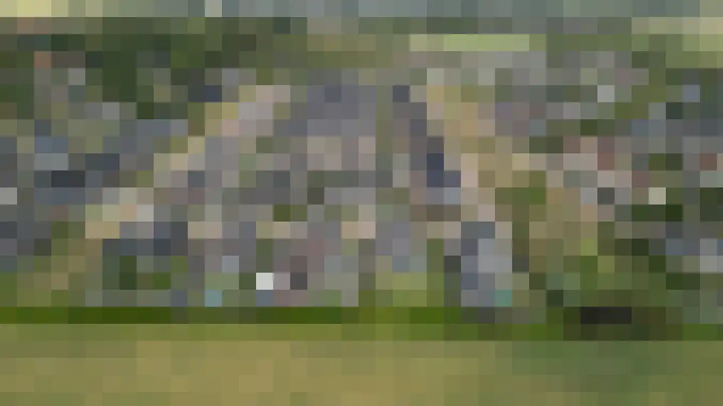 Schouw 19 Vollenhove thumbnail 43