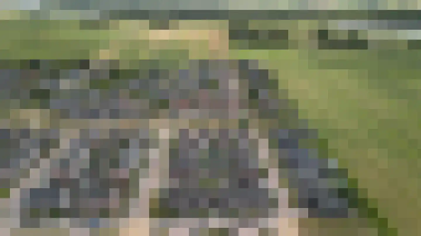 Schouw 19 Vollenhove thumbnail 44
