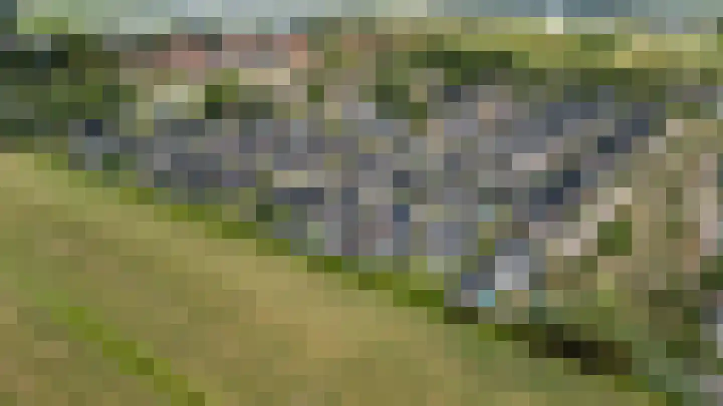 Schouw 19 Vollenhove thumbnail 6