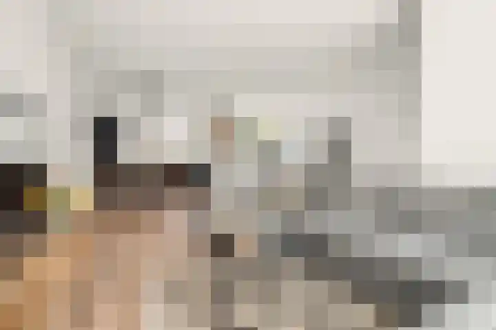 Schouw 2 Huissen thumbnail 10
