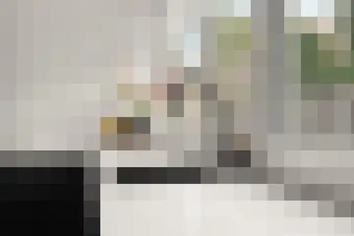 Schouw 2 Huissen thumbnail 13