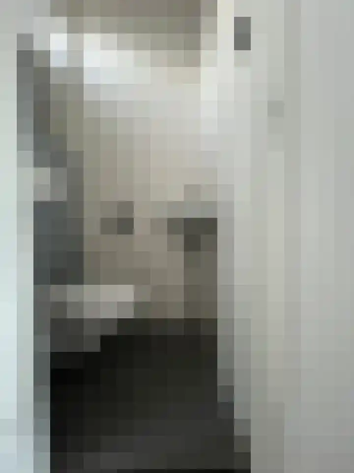 Schouw 2 Huissen thumbnail 16