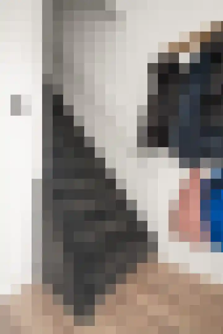 Schouw 2 Huissen thumbnail 17