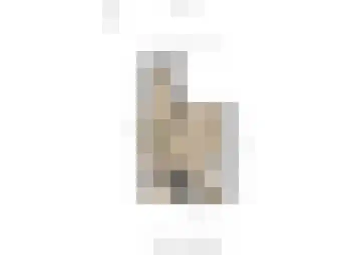 Schouw 2 Huissen thumbnail 19