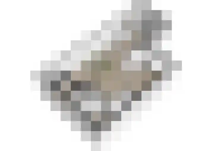 Schouw 2 Huissen thumbnail 20