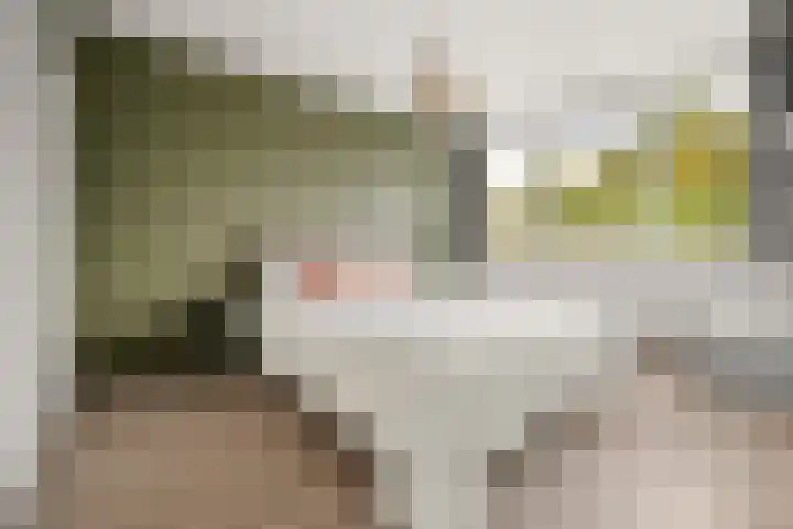 Schouw 2 Huissen thumbnail 21