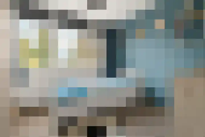 Schouw 2 Huissen thumbnail 23
