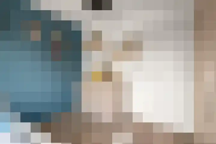 Schouw 2 Huissen thumbnail 24