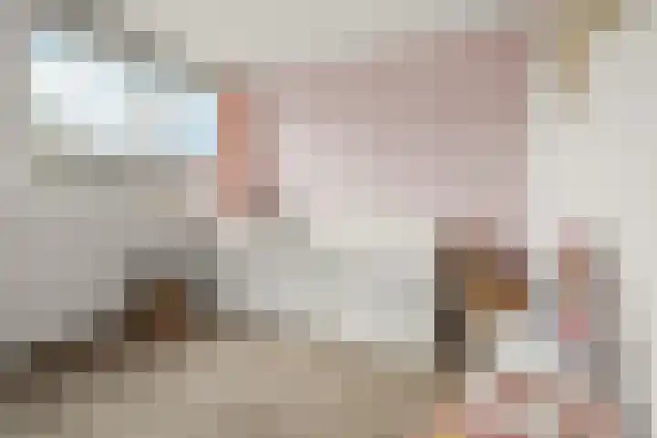 Schouw 2 Huissen thumbnail 25