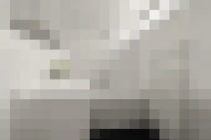 Schouw 2 Huissen thumbnail 27
