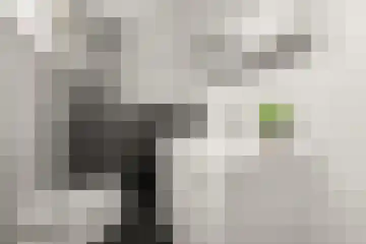 Schouw 2 Huissen thumbnail 28