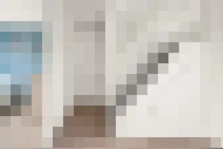 Schouw 2 Huissen thumbnail 29