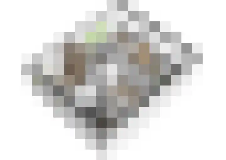 Schouw 2 Huissen thumbnail 31
