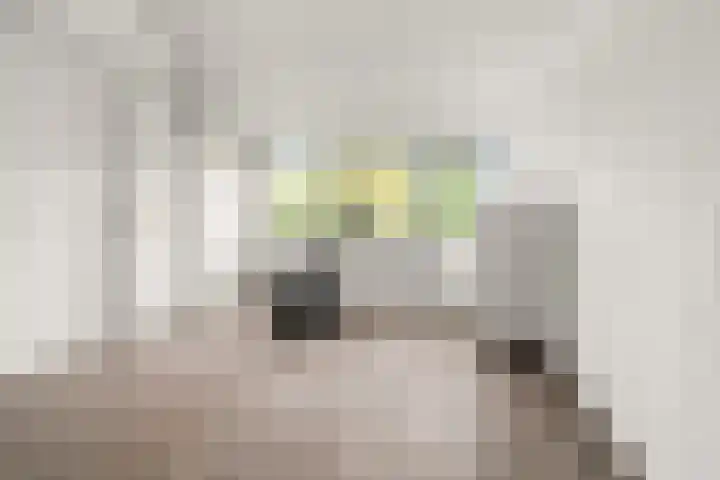 Schouw 2 Huissen thumbnail 32