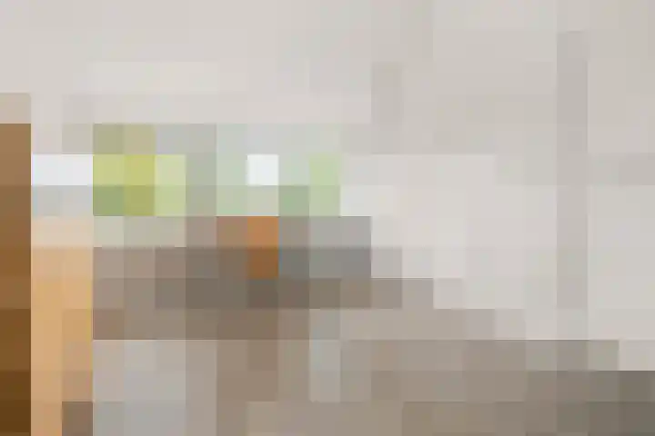 Schouw 2 Huissen thumbnail 35