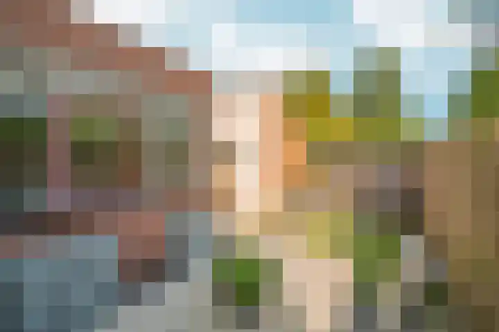 Schouw 2 Huissen thumbnail 38