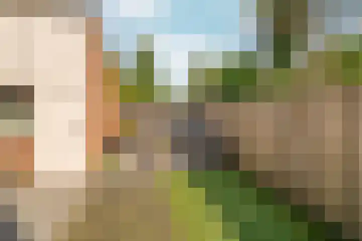 Schouw 2 Huissen thumbnail 39
