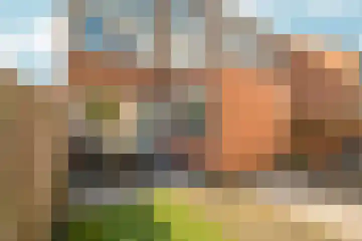 Schouw 2 Huissen thumbnail 41