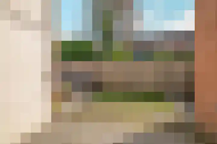 Schouw 2 Huissen thumbnail 42