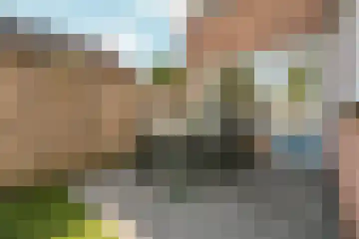 Schouw 2 Huissen thumbnail 43