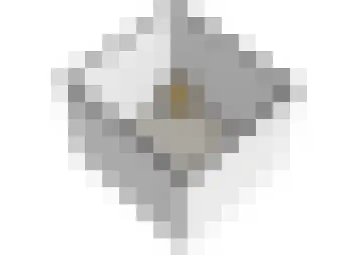 Schouw 2 Huissen thumbnail 45