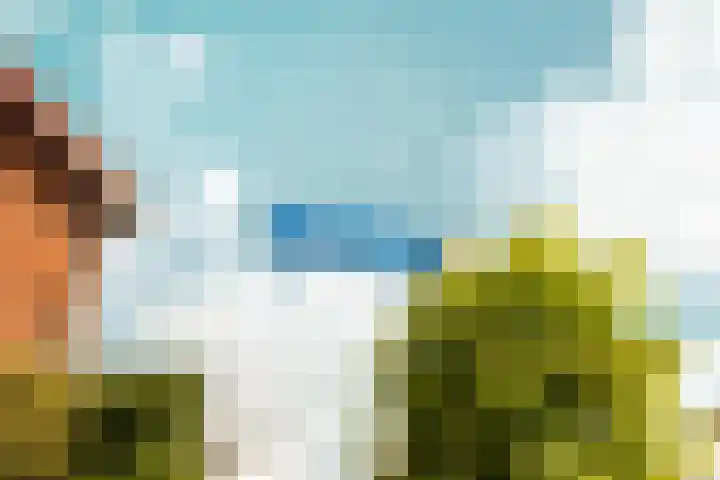 Schouw 2 Huissen thumbnail 46