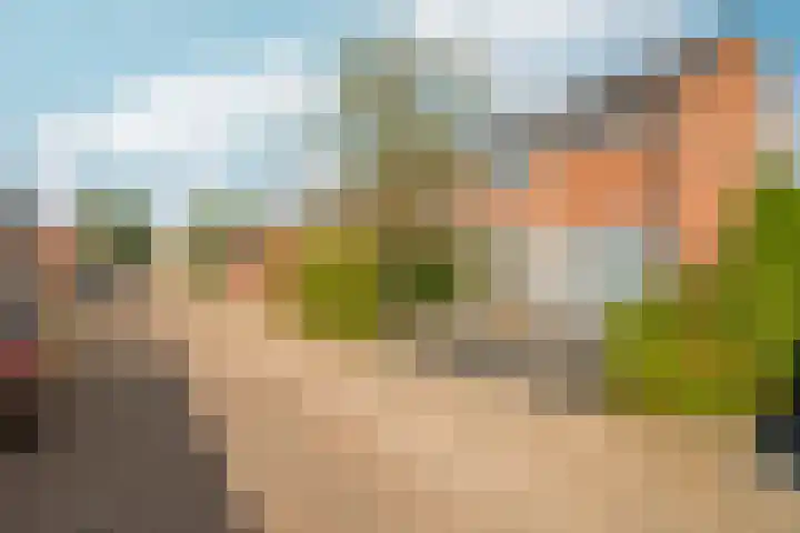 Schouw 2 Huissen thumbnail 47