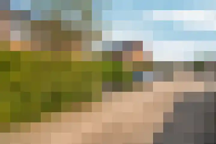 Schouw 2 Huissen thumbnail 48